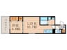 D-ROOM丹波橋 1LDKの間取り