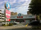 西松屋　鶴見店(ディスカウントショップ)まで750m 鶴見パールハイツ