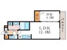 グレース桂川 1LDKの間取り