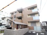 TSコート