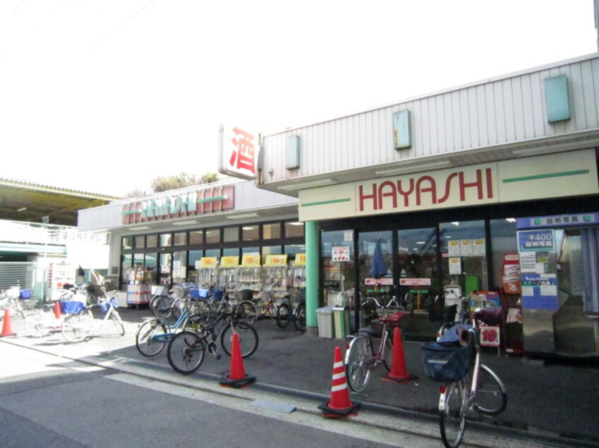 スーパーHAYASHI(スーパー)まで250m ＴＳコート