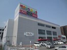 トイザラス(ショッピングセンター/アウトレットモール)まで1200m 大谷グレイスハイツⅡ