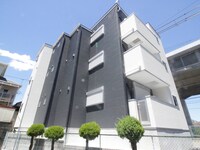 Cycas東二見