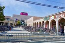 イオン和泉府中店(ショッピングセンター/アウトレットモール)まで1500m トリシア　クレ－ル