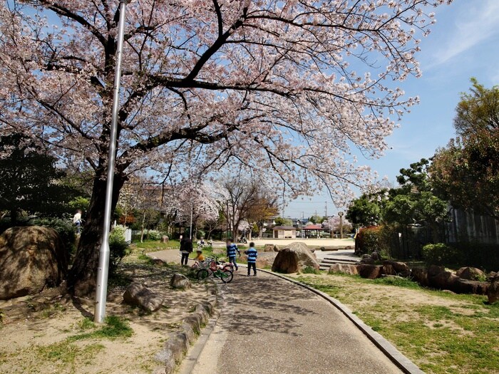 久保公園(公園)まで400m メゾンつくも