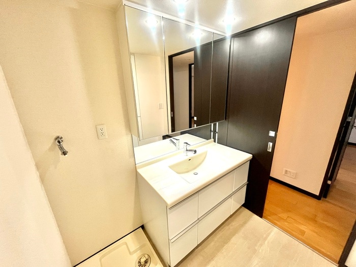 洗面 ネバーランド香櫨園(302)