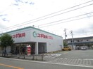 スギ薬局 上ノ島店(ドラッグストア)まで350m 春日野文化