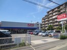 フレッツ立花店(100均)まで850m 春日野文化