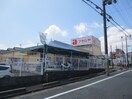 アカシア枚方長尾店(スーパー)まで347m パレス藤阪東