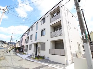 メゾンコールアルライン
