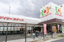デイリーカナート住吉店(スーパー)まで1100m 万代マンション