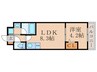 CREDOR伏見丹波橋 1LDKの間取り