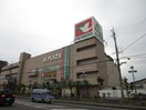 アルプラザ瀬田(スーパー)まで850m アルカディア堂山