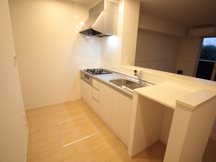 キッチン フリーデⅢ