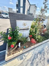 アロ・ラウレア　Ｋ