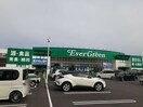 エバーグリーン(ディスカウントショップ)まで450m アロ・ラウレア　Ｋ