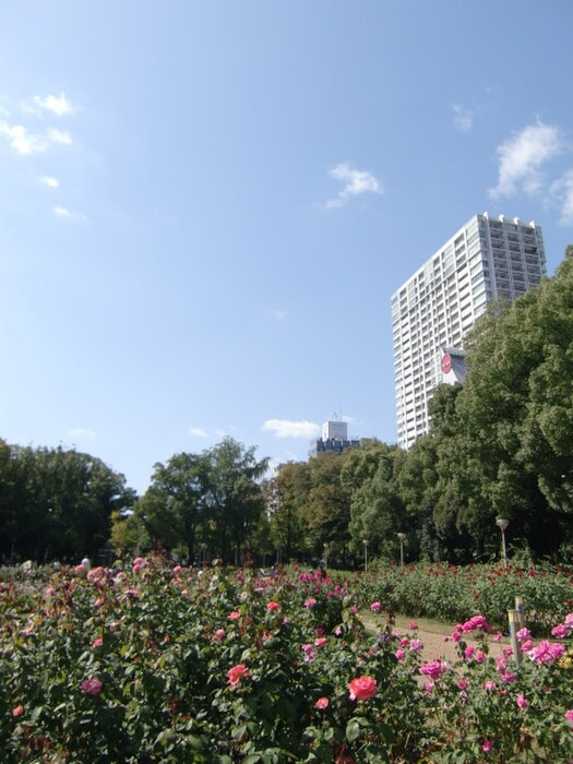 靭公園(公園)まで72m リンクハウス京町堀