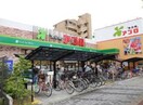 アプロ国分店(スーパー)まで160m 乾マンション