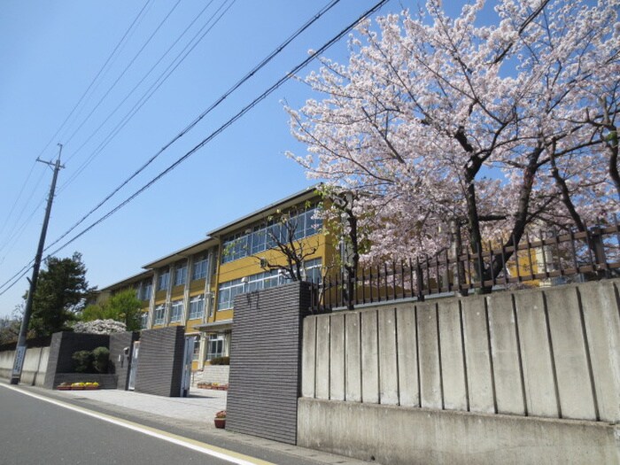 京都市立桂徳小学校(小学校)まで350m グリンピア桂