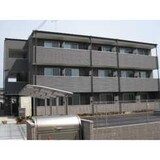 ｱﾝﾌﾟﾙｰﾙ ﾌｪｰﾙ ﾊﾟﾙﾌｪ