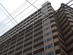 ヴェルジュパレス今里(208)