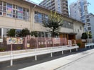 堀江幼稚園(幼稚園/保育園)まで334m ドエル南堀江１番館