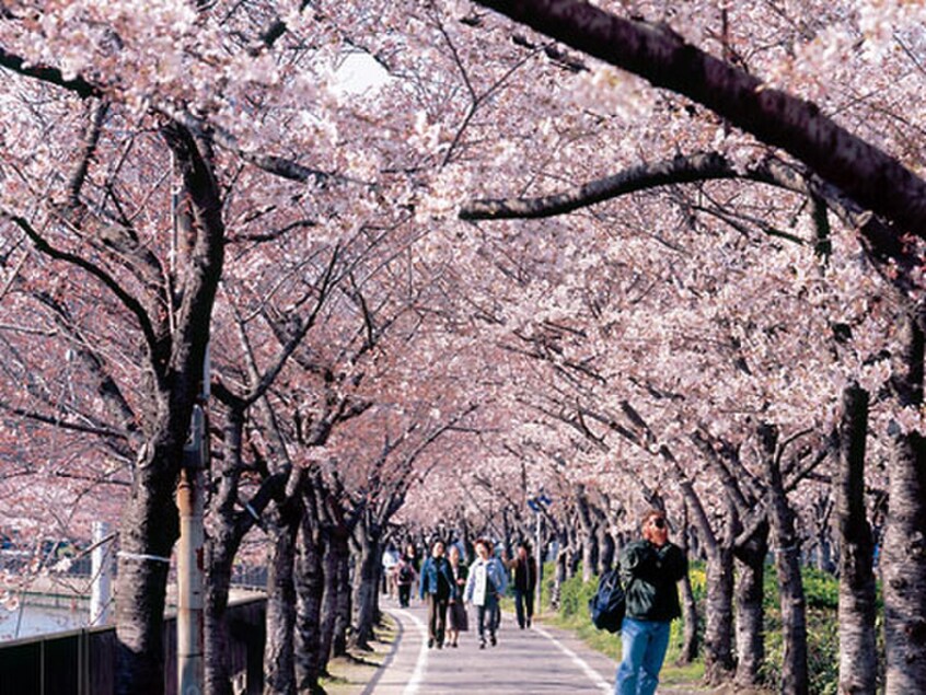 桜ノ宮公園(公園)まで270m メビウスハウス