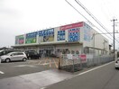 コーナン(電気量販店/ホームセンター)まで492m グラン・シャリオ