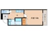 フジパレス堺今池サウス 1Kの間取り