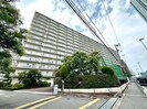 ﾛｰﾚﾙﾊｲﾂ北天満1号棟（114）の外観