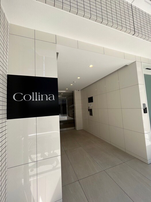 外観写真 Collina