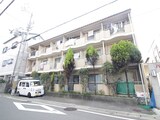 パレスカツラ