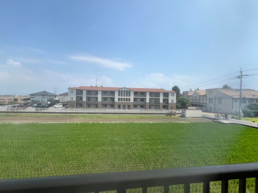 室内からの展望 グリーンビュウ 2号館