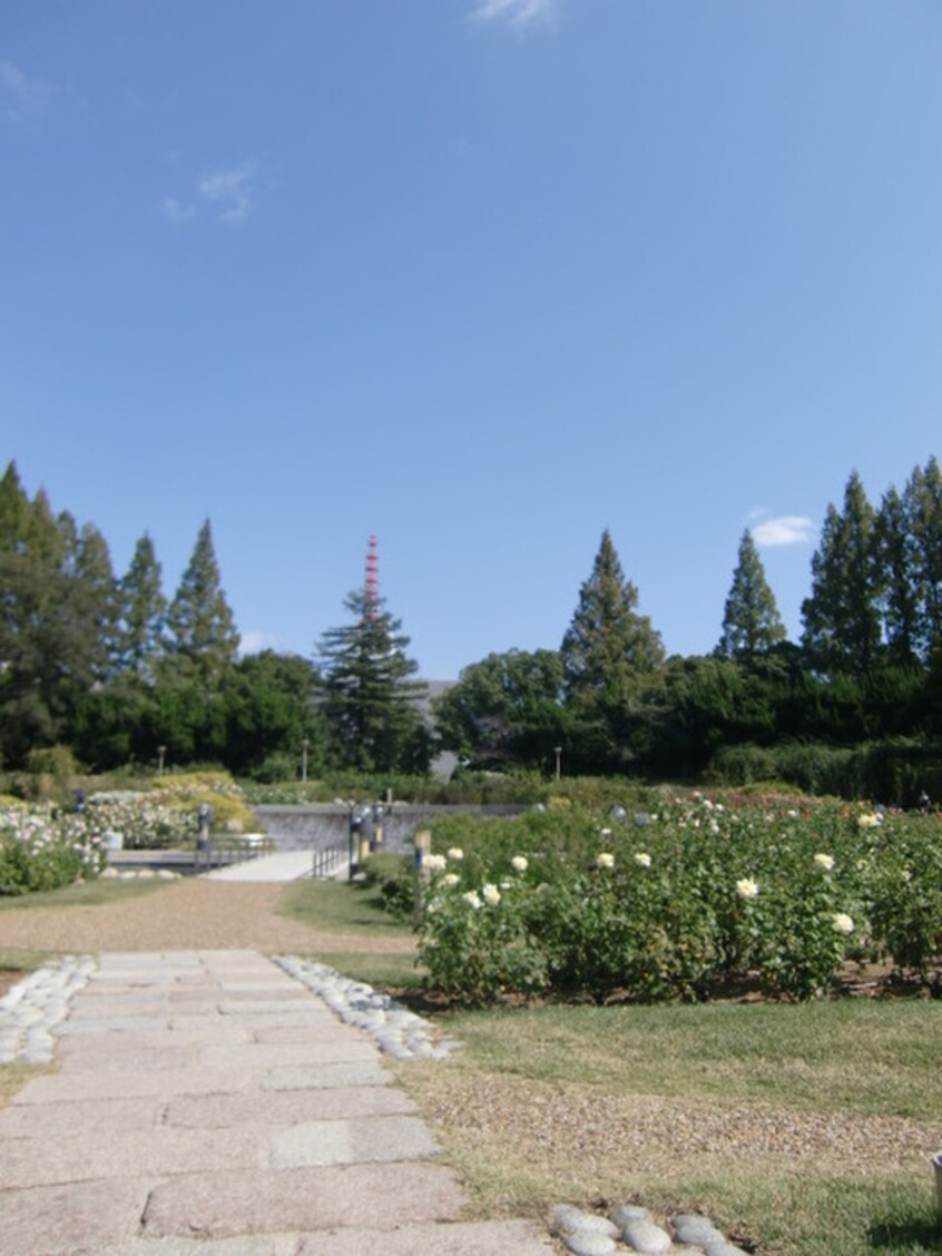 靭公園(公園)まで470m アリ－ナ中之島