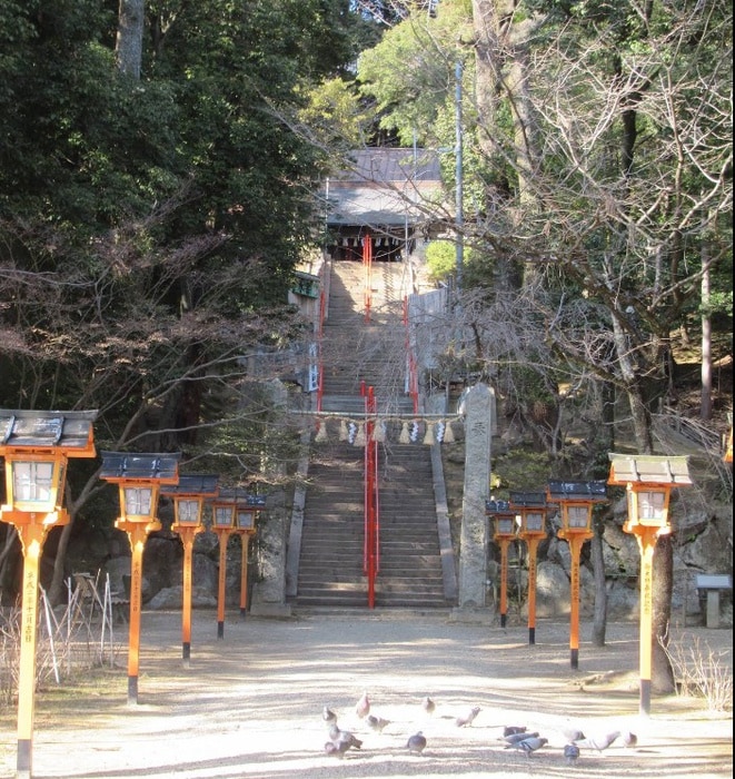 売布神社(美術館/博物館)まで600m ピピアめふ２(803)