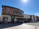 サタケ(スーパー)まで200m パレシュクル