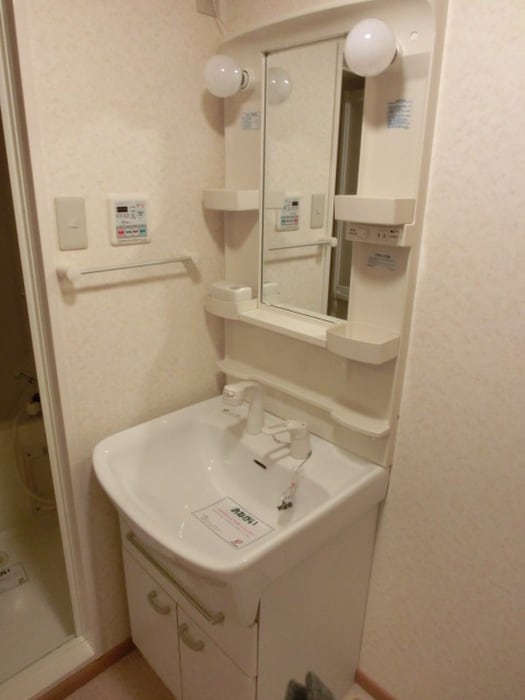 洗面 サウス高安