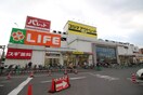 ライフ大仙店(スーパー)まで1200m ジュネス５番館