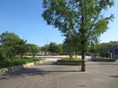 公園(公園)まで250m PRIMAVERA UOZAKI