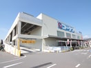 コーナン(電気量販店/ホームセンター)まで555m 木村マンション