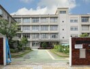 大隅東小学校(小学校)まで450m パストラル