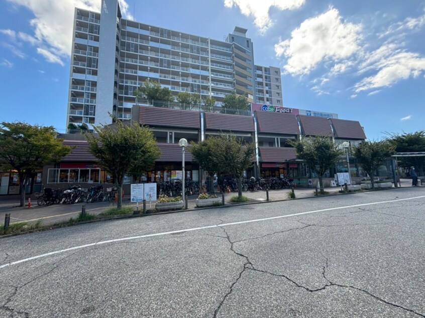 コープ(スーパー)まで145m 仮）仁川北３丁目計画