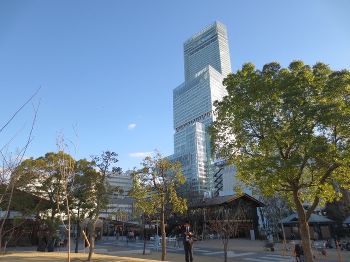 あべのハルカス(デパート)まで960m ベリーウェル阿倍野