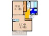 セントコリーヌ　Ｅ棟 1LDKの間取り