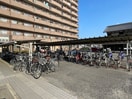 駐輪場 コンフォート太陽