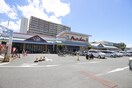 山陽マルナカ住之江店(スーパー)まで650m フレイランス中加賀屋