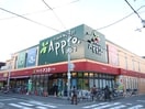 アプロ(スーパー)まで1850m マンションパインウェルⅠ