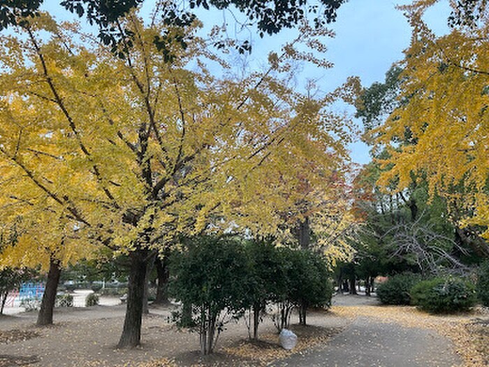 八戸の里公園(公園)まで400m ビオス中小阪　A棟