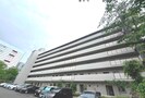OTC新御堂ハイツ（107）の外観