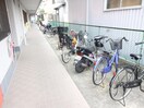 駐輪場 ピュアビレッジ